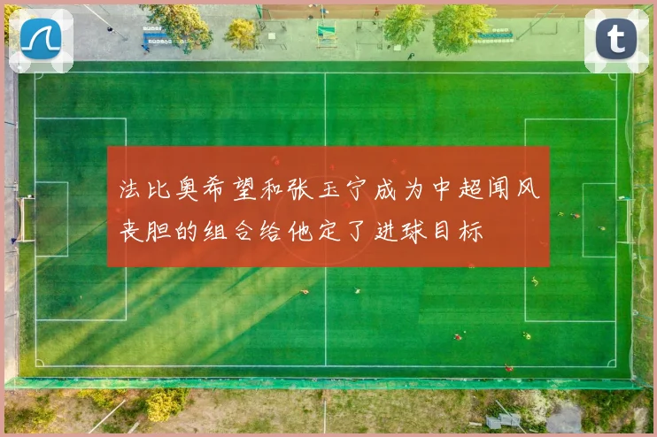 法比奥希望和张玉宁成为中超闻风丧胆的组合给他定了进球目标