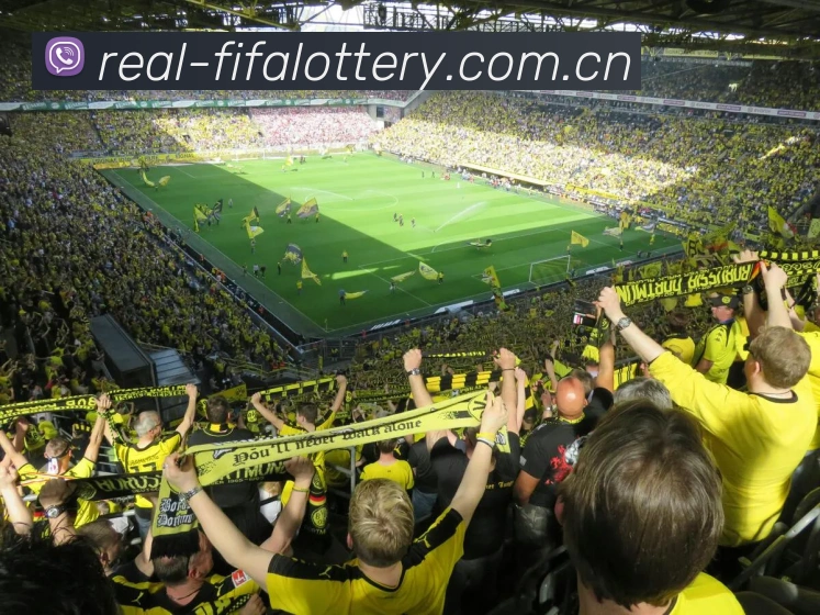 FIFA官方数据授权认证